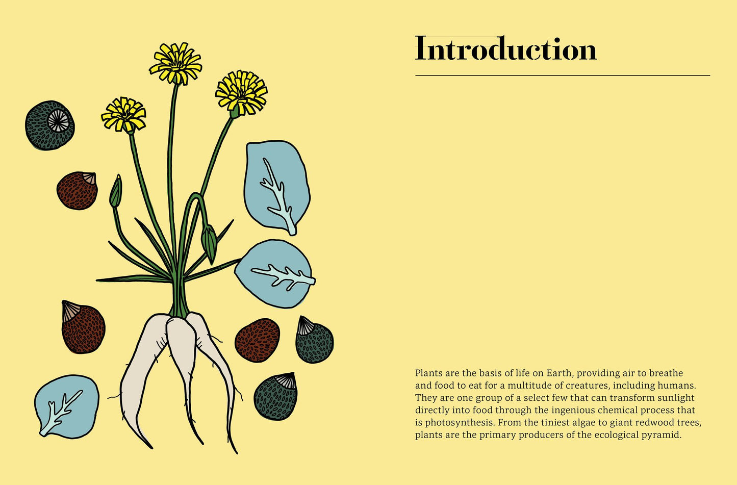 Edible: 70 Sustainable Plants That Are Changing How We Eat