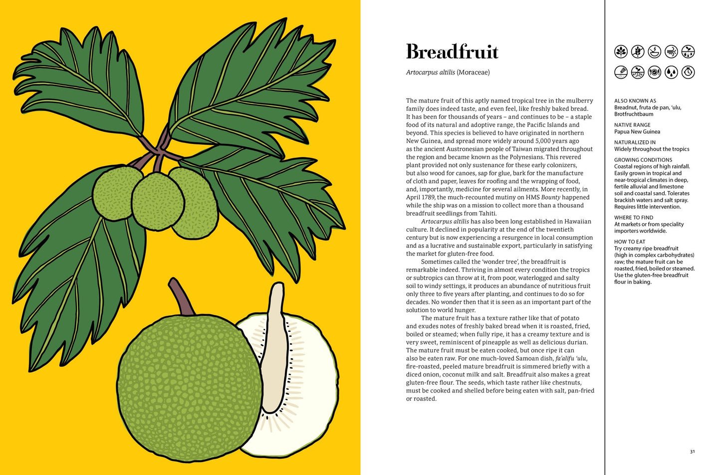 Edible: 70 Sustainable Plants That Are Changing How We Eat