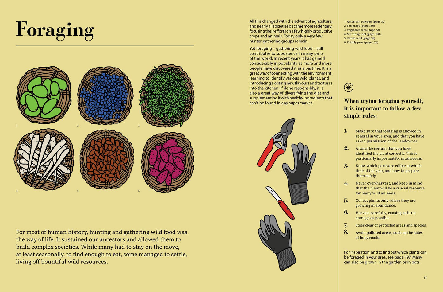 Edible: 70 Sustainable Plants That Are Changing How We Eat