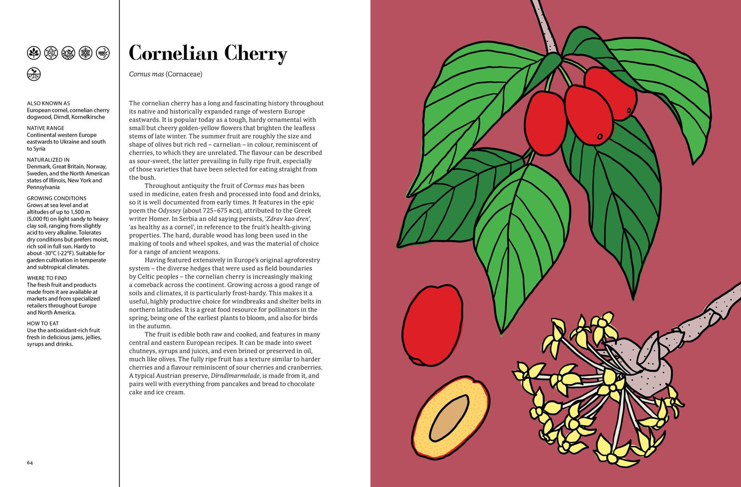 Edible: 70 Sustainable Plants That Are Changing How We Eat