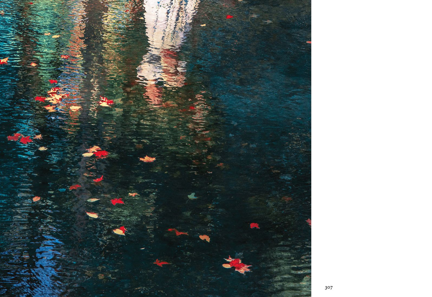 The Tapestry
