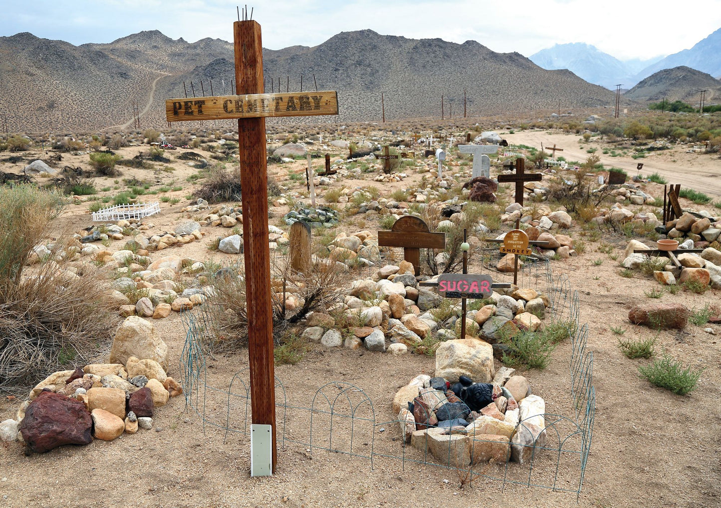 Faithful Unto Death: Pet cemeteries, animal graves and eternal devotion