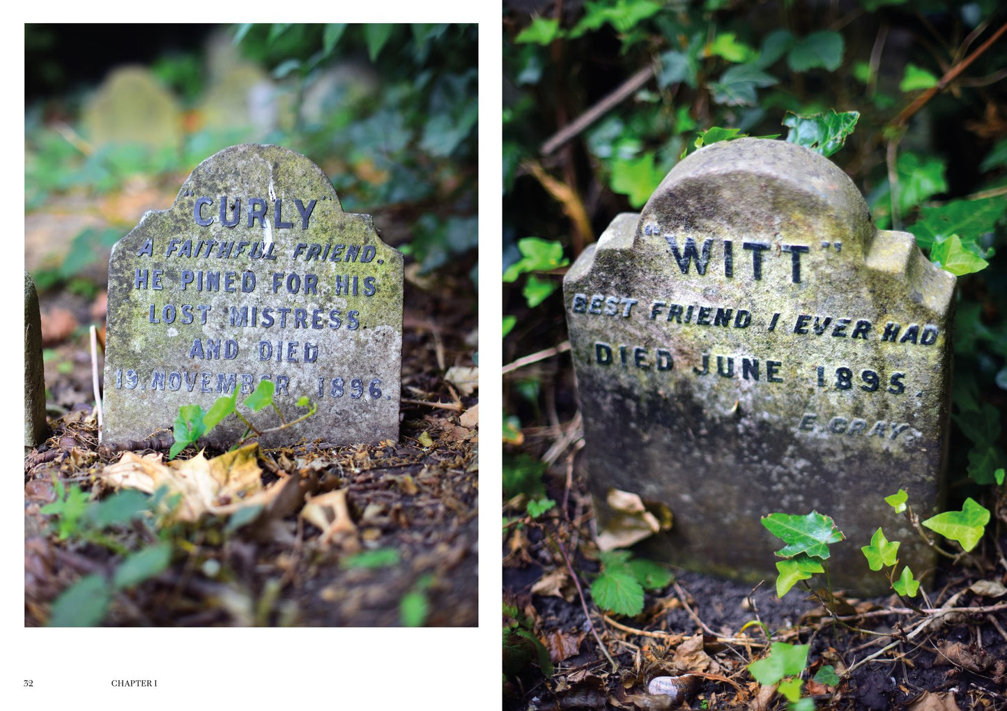 Faithful Unto Death: Pet cemeteries, animal graves and eternal devotion