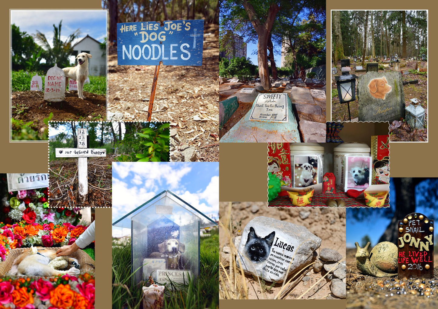 Faithful Unto Death: Pet cemeteries, animal graves and eternal devotion