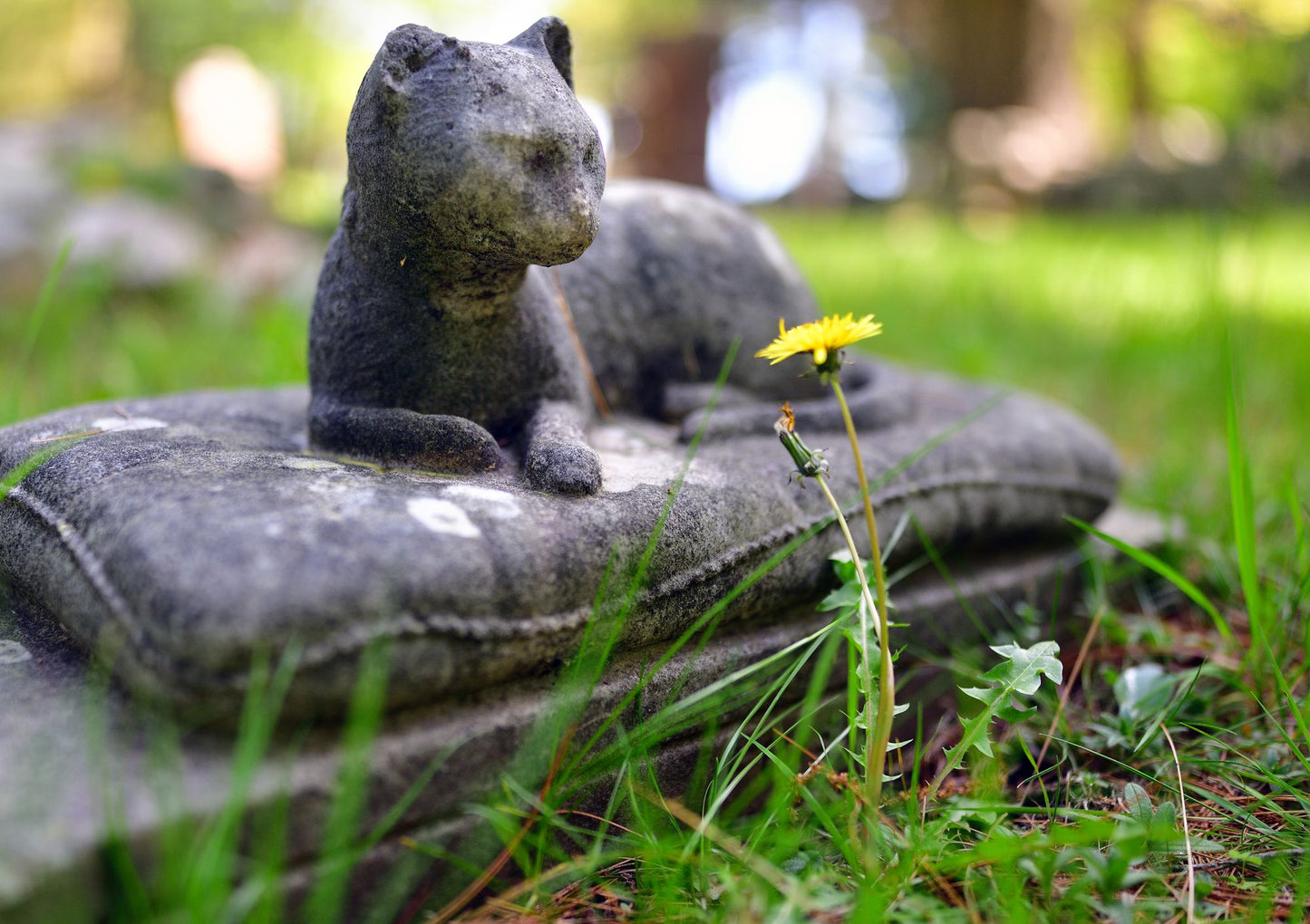 Faithful Unto Death: Pet cemeteries, animal graves and eternal devotion