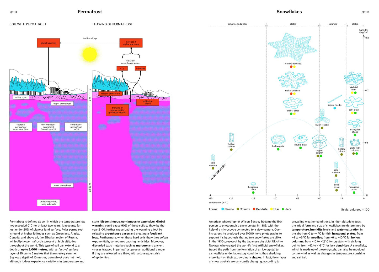 Phenomena: An Infographic Guide to Almost Everything