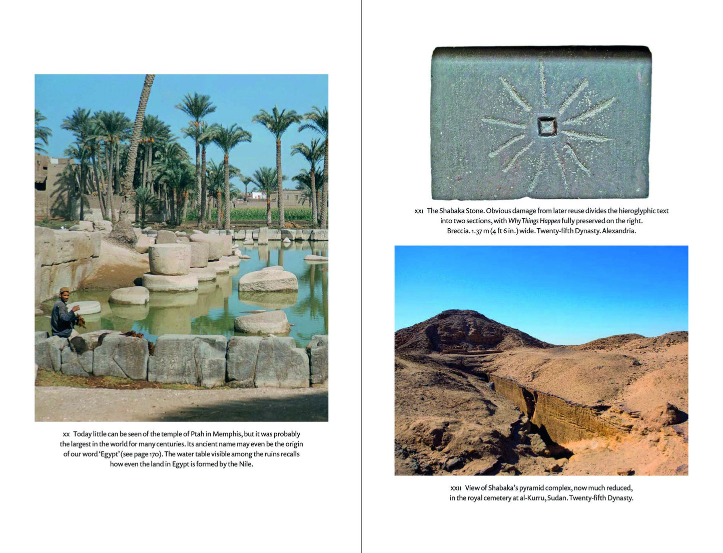 The Oldest Book in the World: Philosophy in the Age of the Pyramids