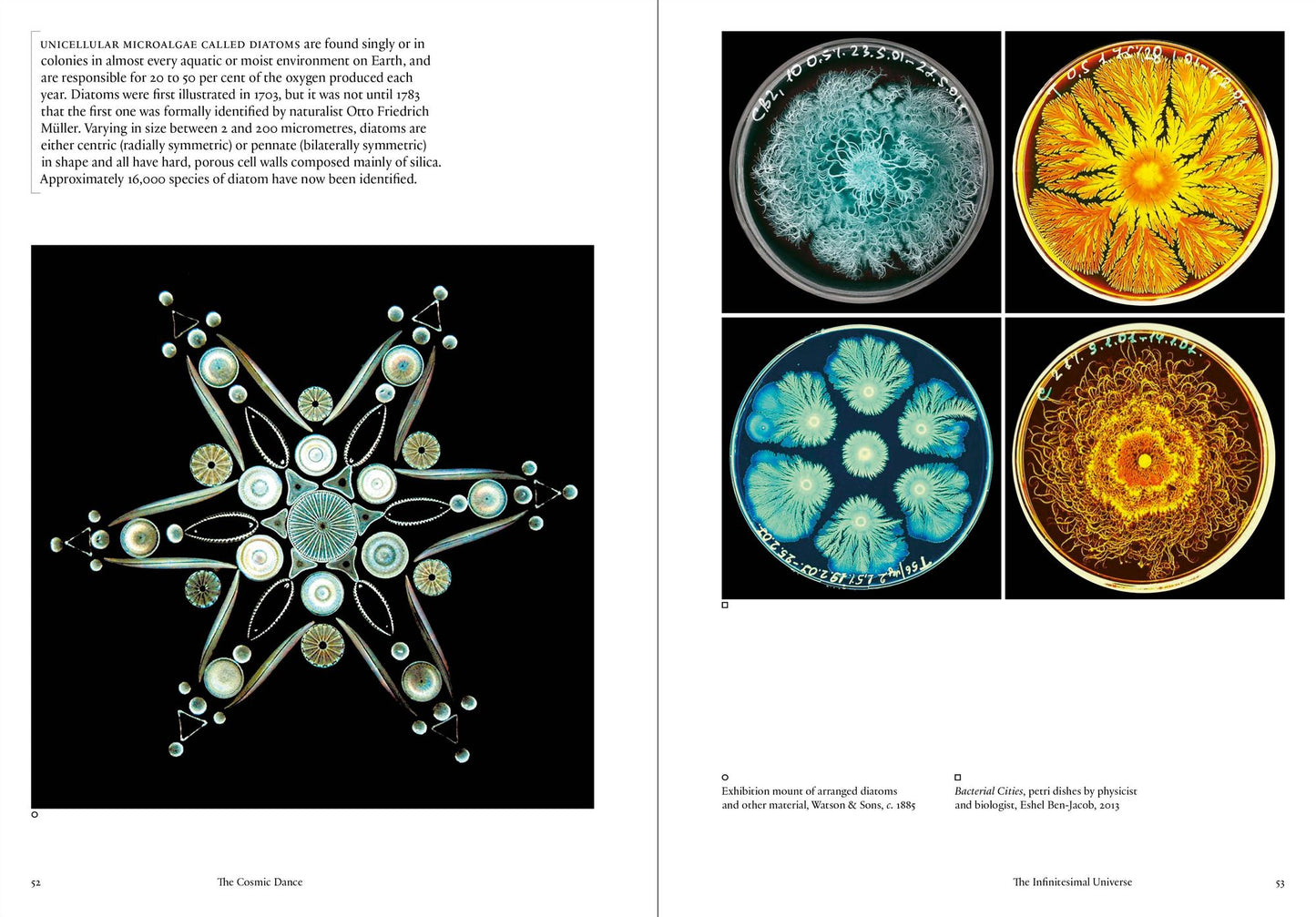 The Cosmic Dance: Finding patterns and pathways in a chaotic universe