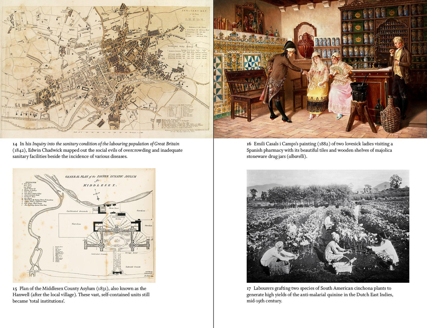 Great Discoveries in Medicine: From Ayurveda to X-rays, Cancer to Covid