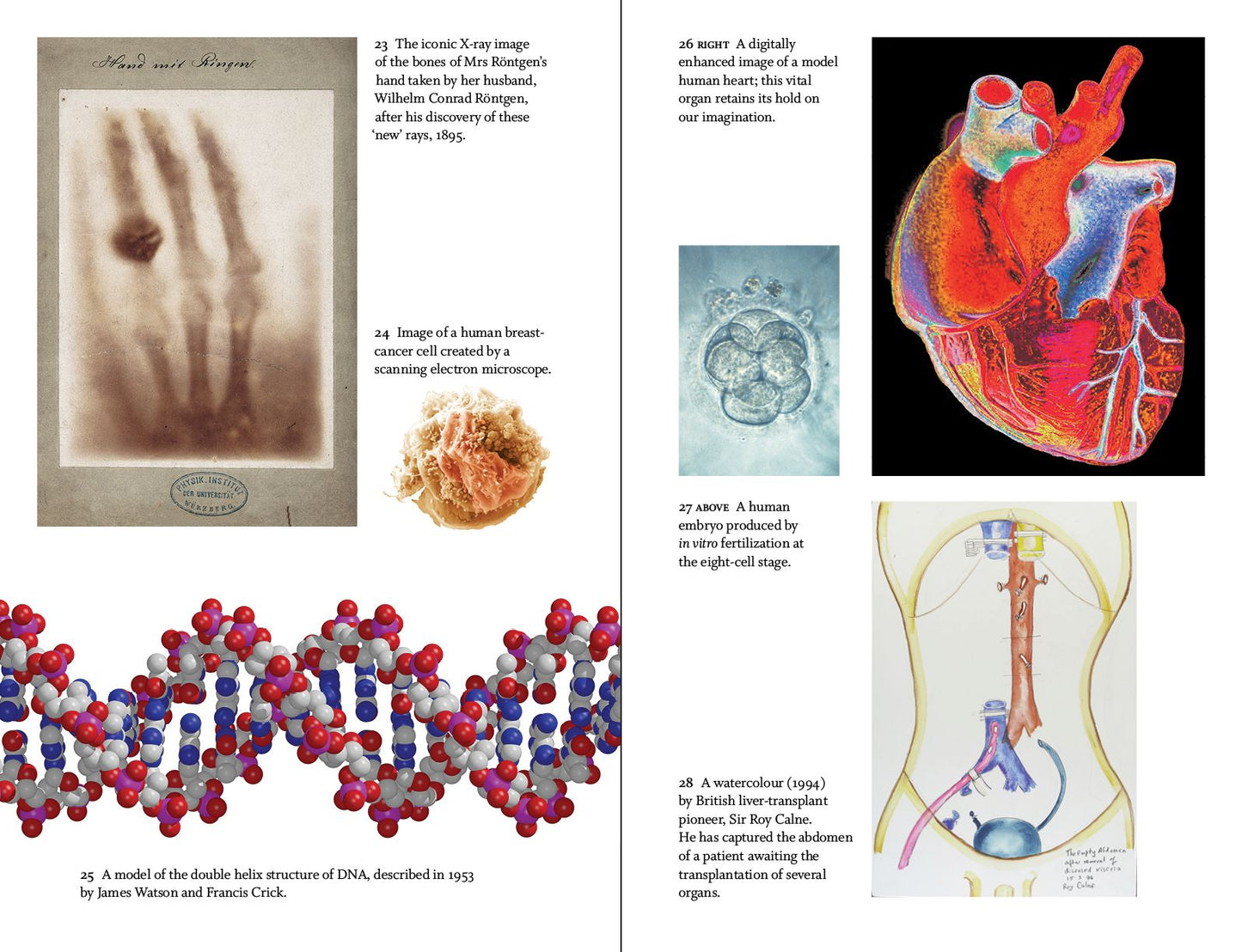 Great Discoveries in Medicine: From Ayurveda to X-rays, Cancer to Covid