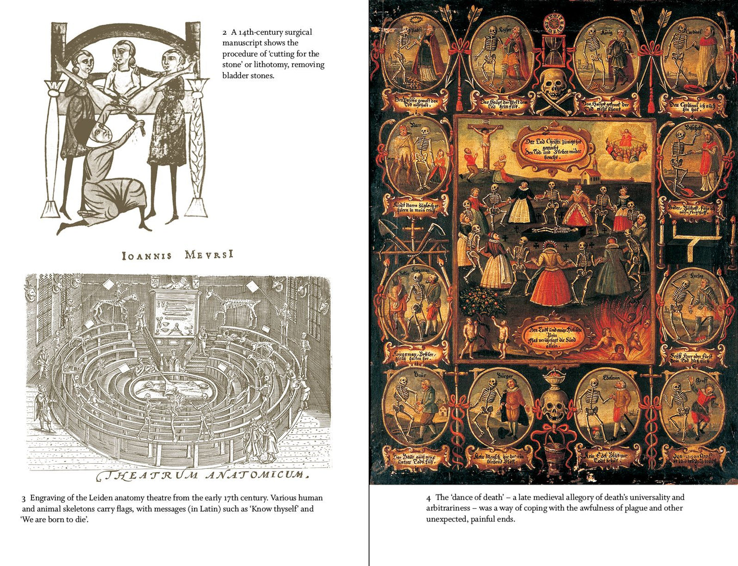 Great Discoveries in Medicine: From Ayurveda to X-rays, Cancer to Covid