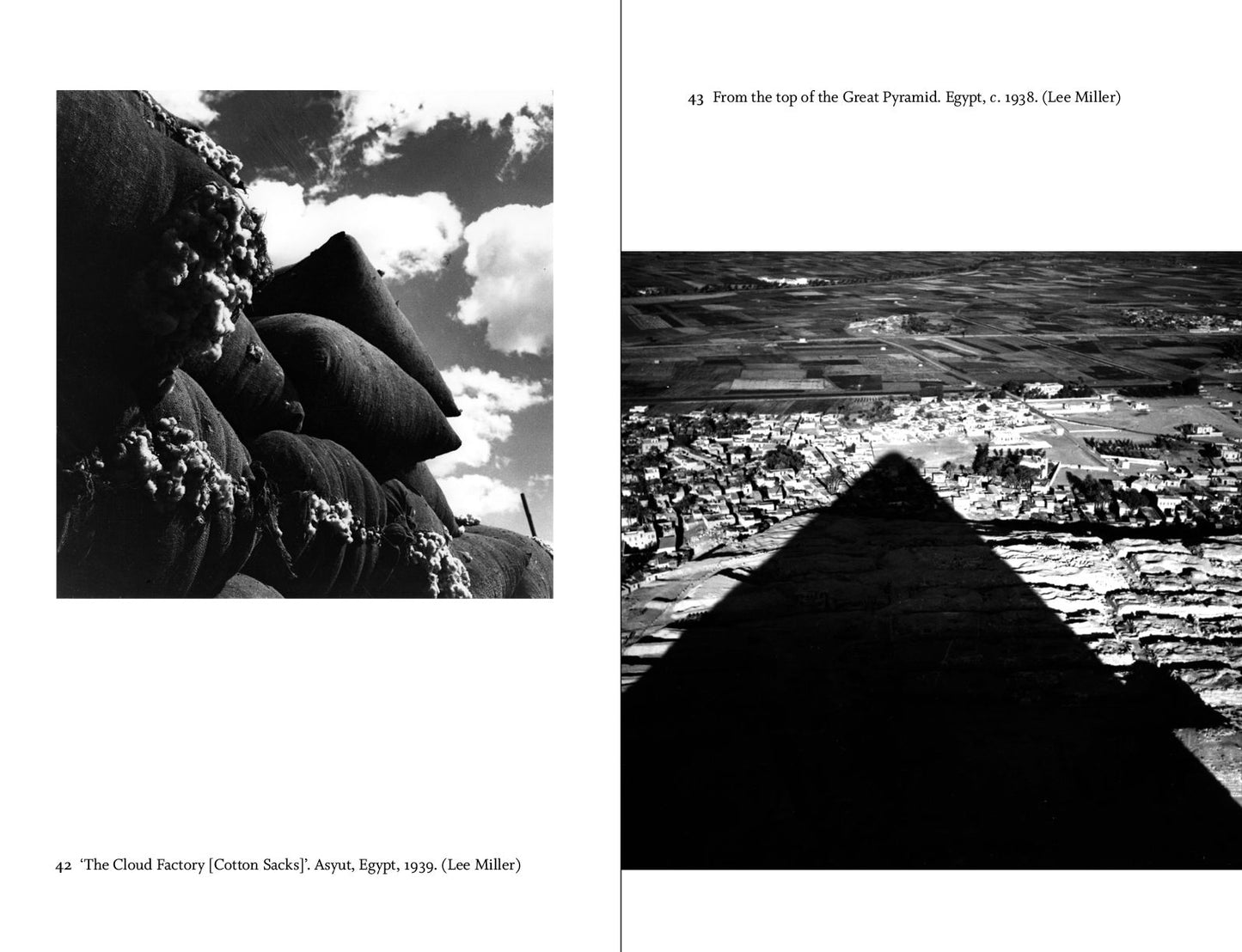 The Lives of Lee Miller: The Inspiration for the major motion picture 'Lee'