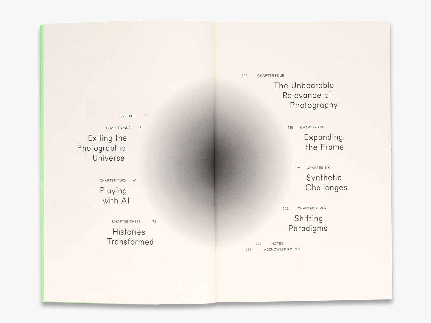 The Synthetic Eye: Photography Transformed in the Age of AI