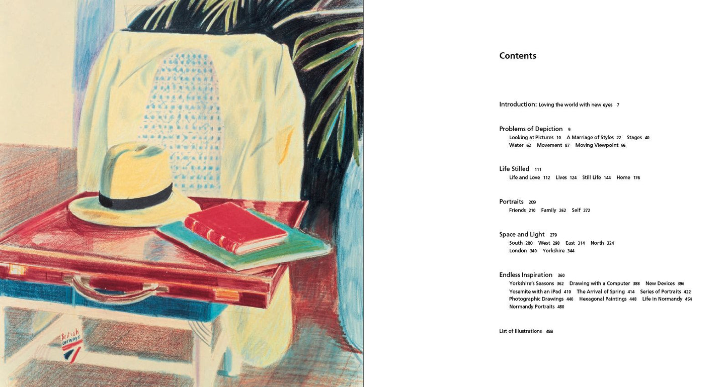 Hockney's Pictures