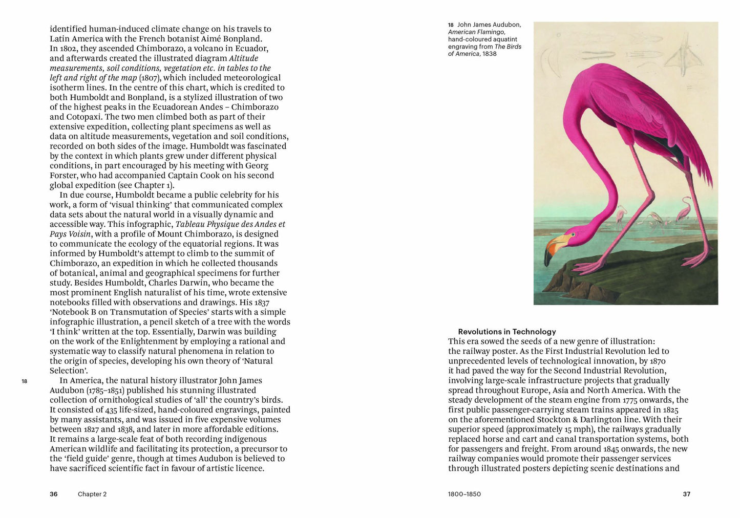 Illustration: A Concise History