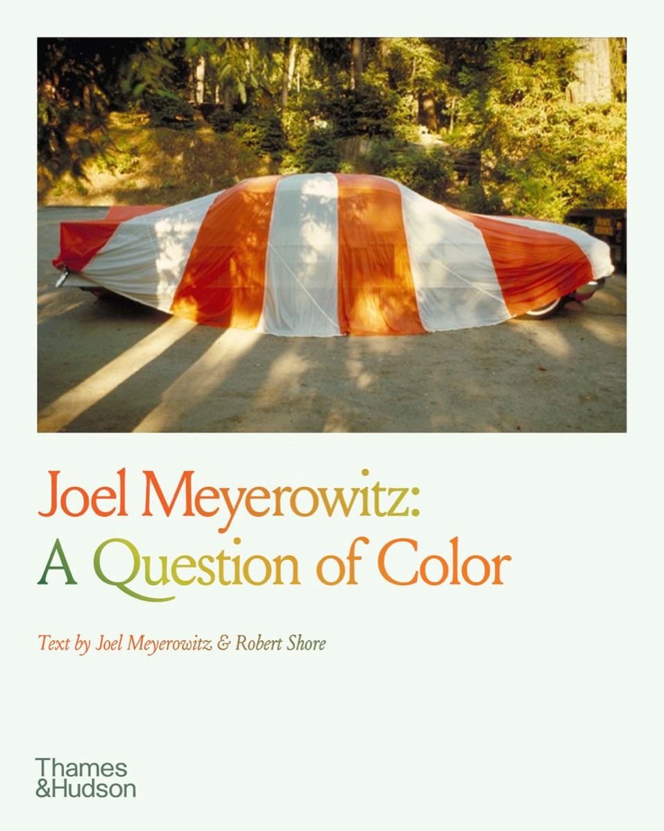 Joel Meyerowitz: A Question of Color