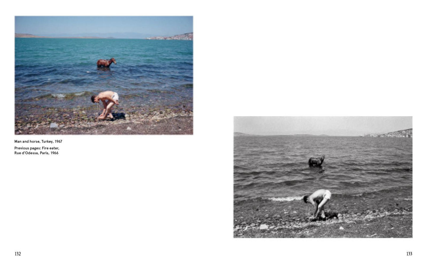 Joel Meyerowitz: A Question of Color