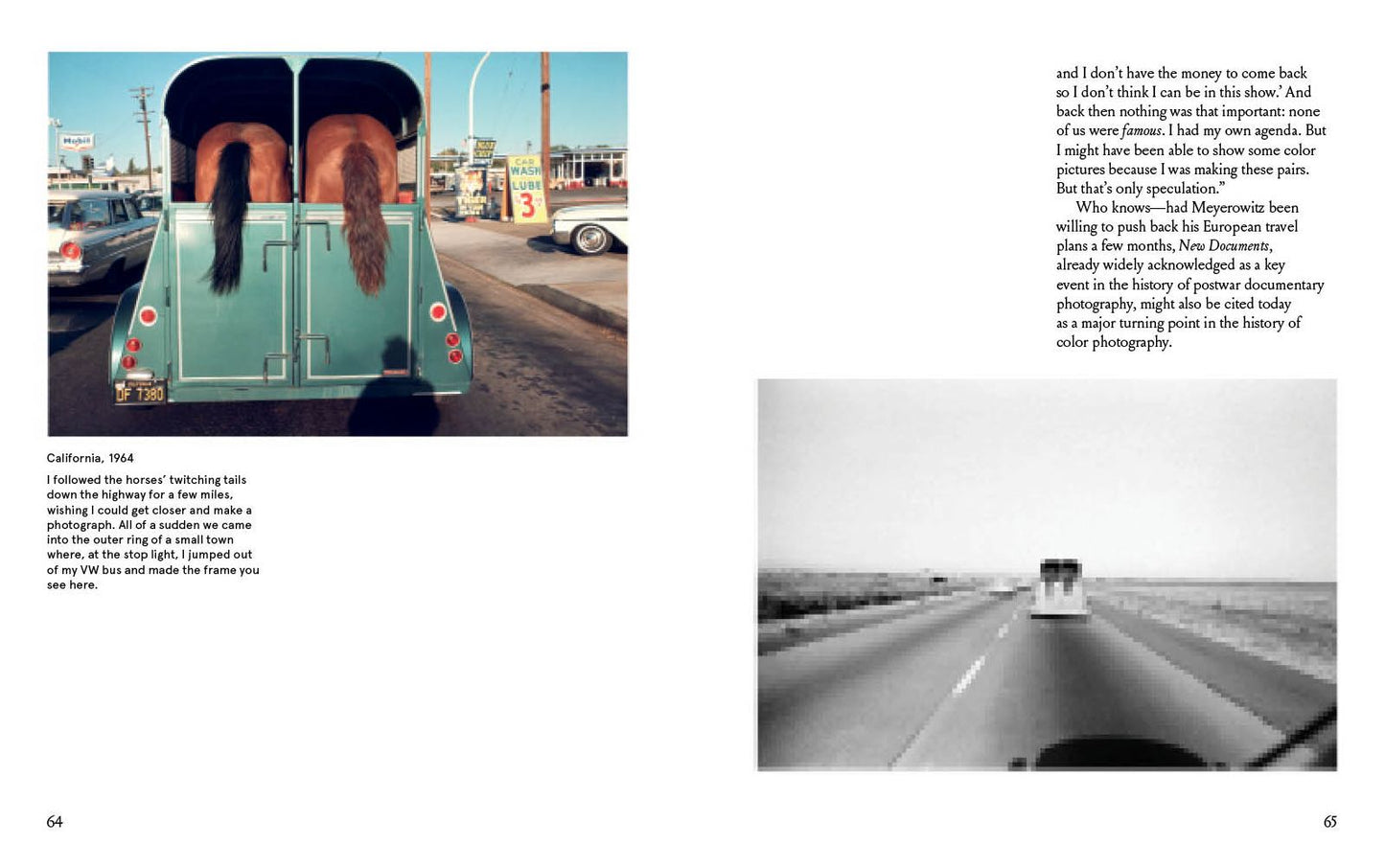 Joel Meyerowitz: A Question of Color