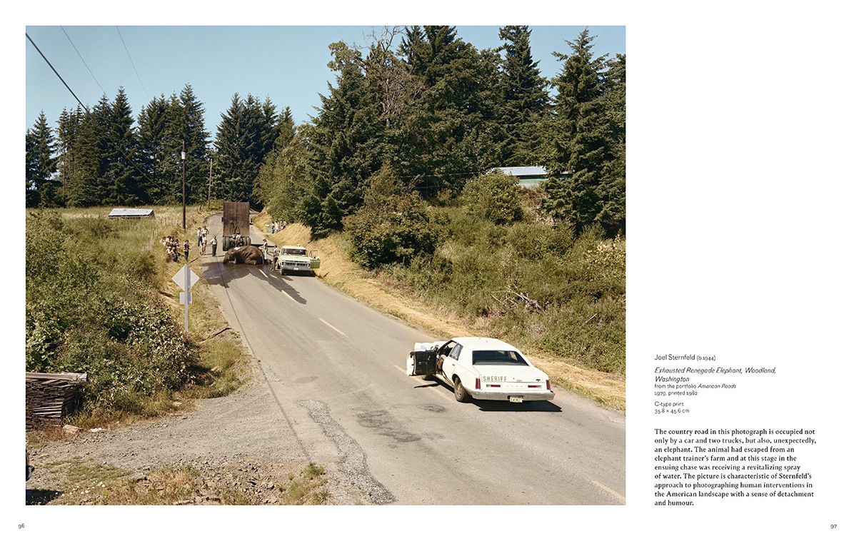 Autofocus: The Car in Photography