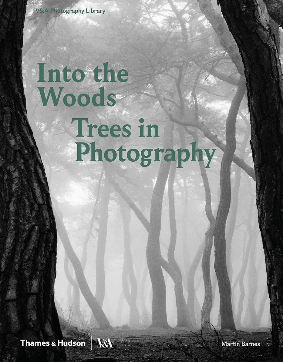 Into the Woods : Trees and Photography