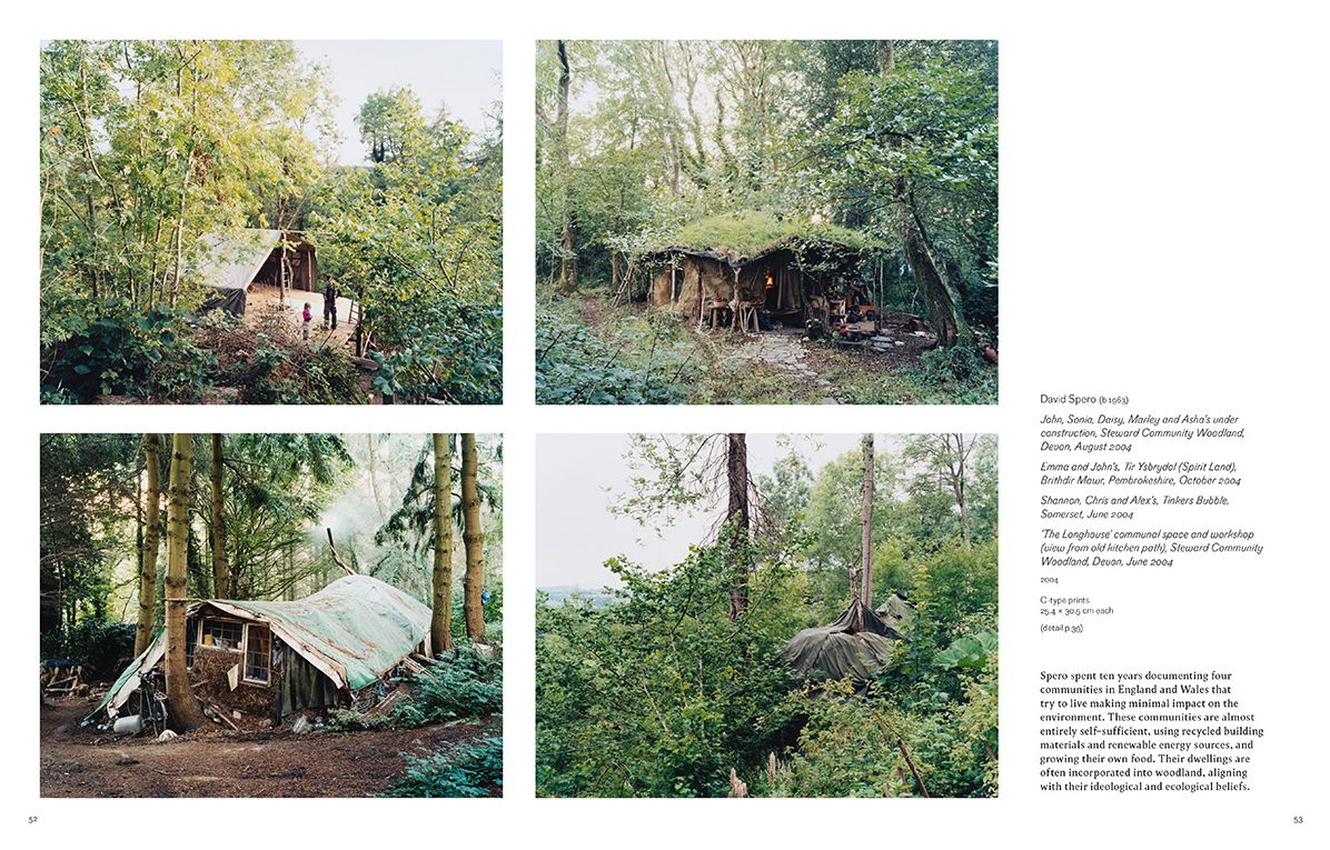 Into the Woods : Trees and Photography