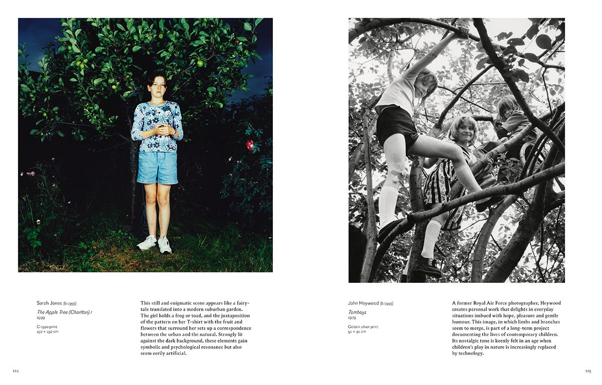 Into the Woods : Trees and Photography