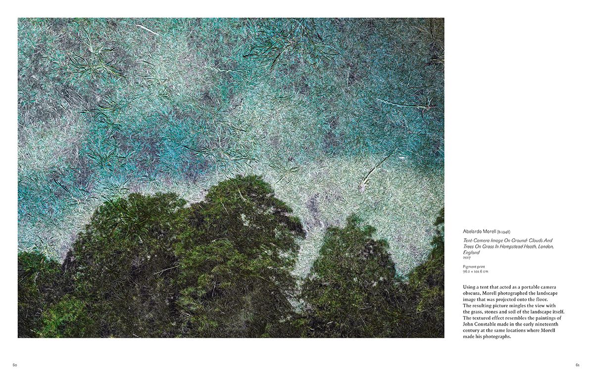 Into the Woods : Trees and Photography