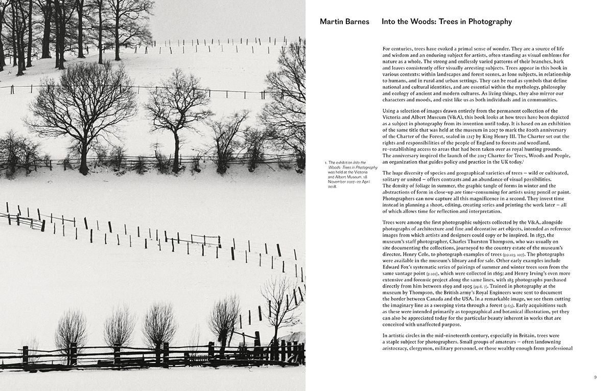 Into the Woods : Trees and Photography