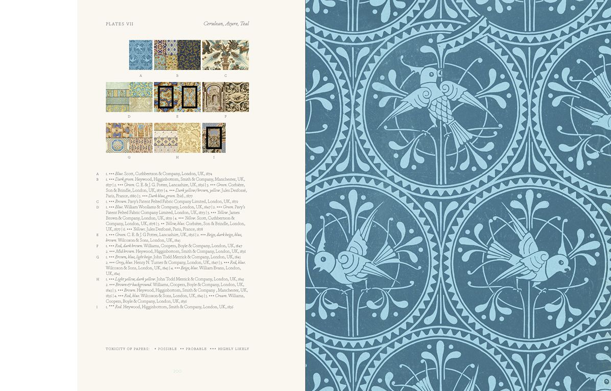 Bitten by Witch Fever: Wallpaper Arsenic in the Nineteenth-Century Home