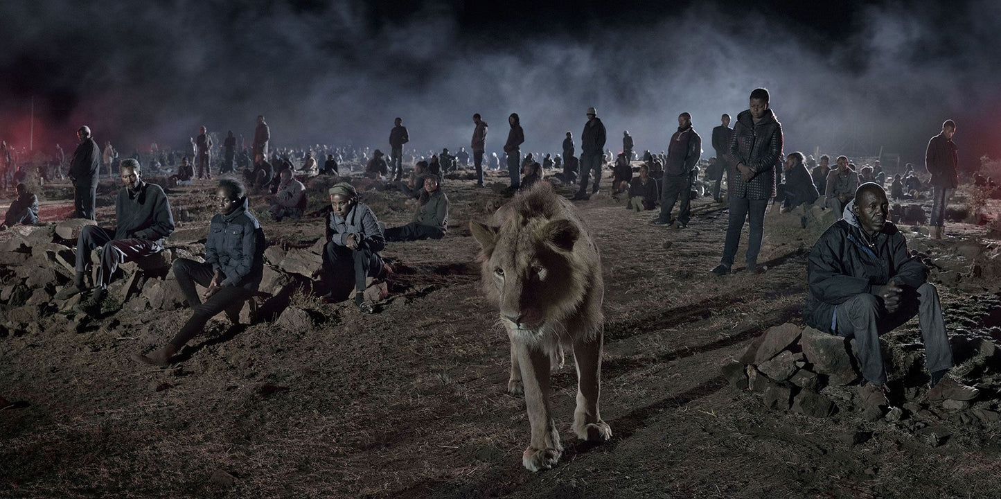 Nick Brandt: This Empty World