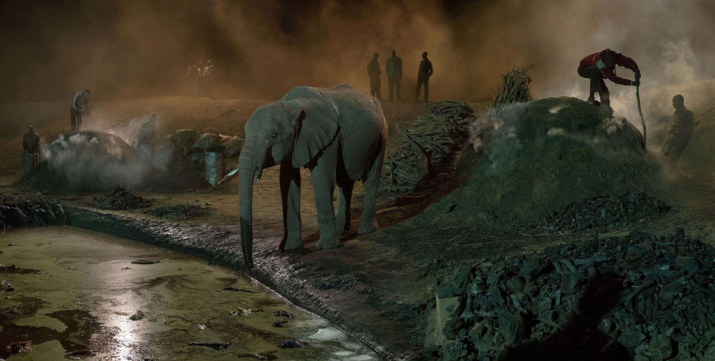 Nick Brandt: This Empty World