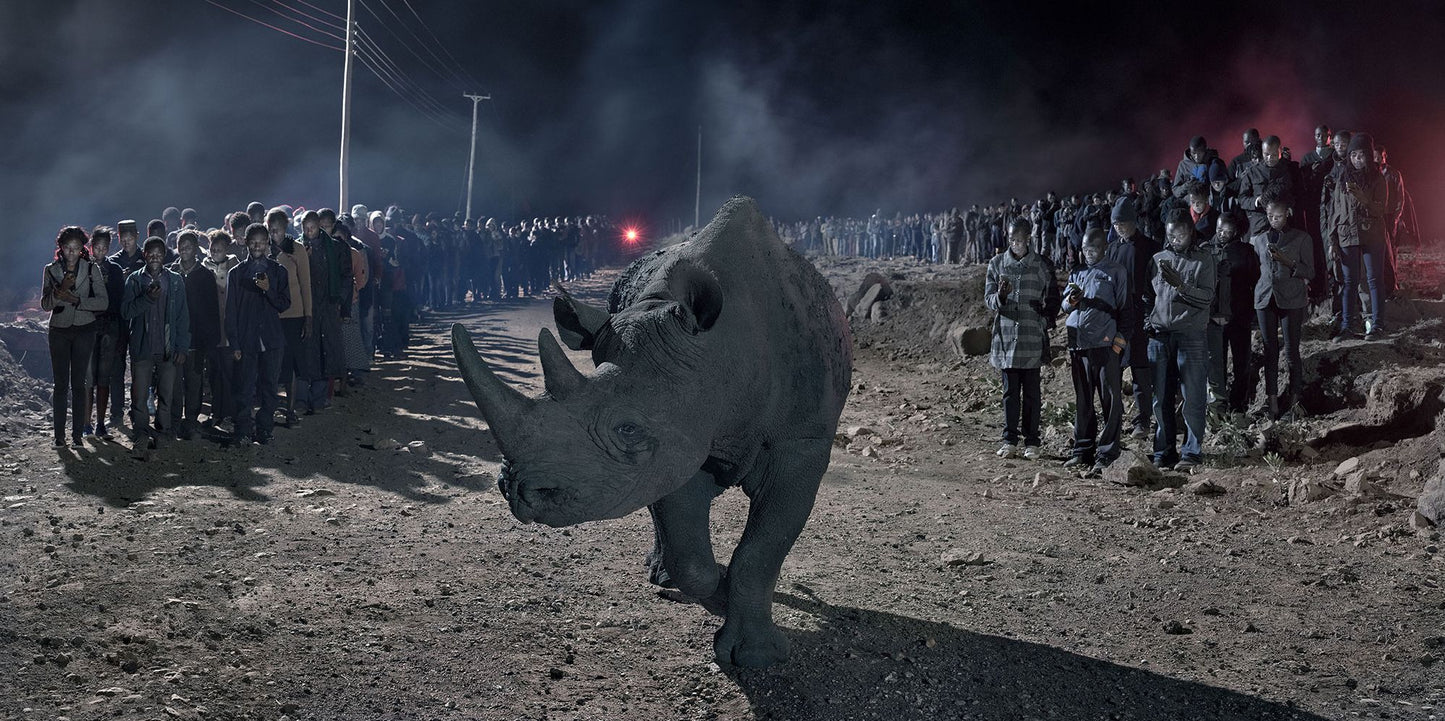 Nick Brandt: This Empty World