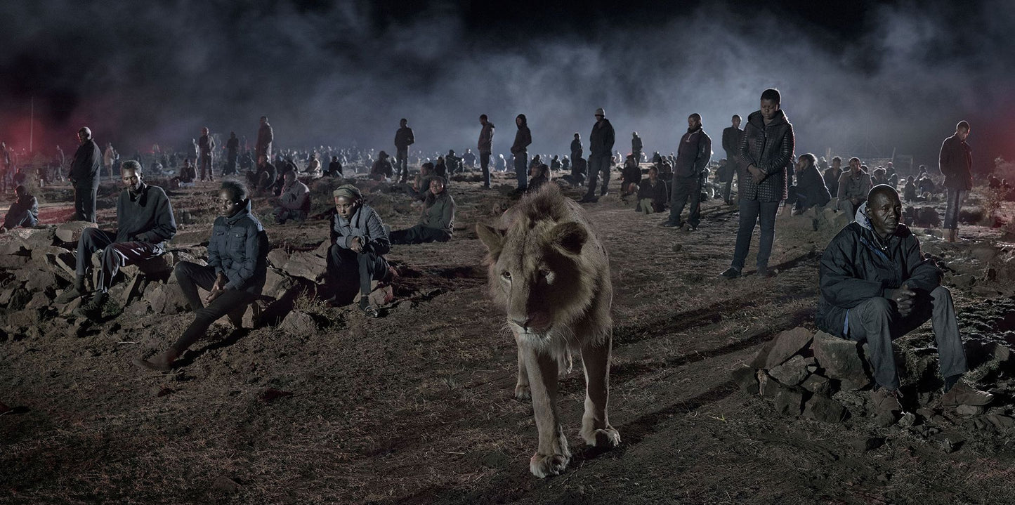 Nick Brandt: This Empty World
