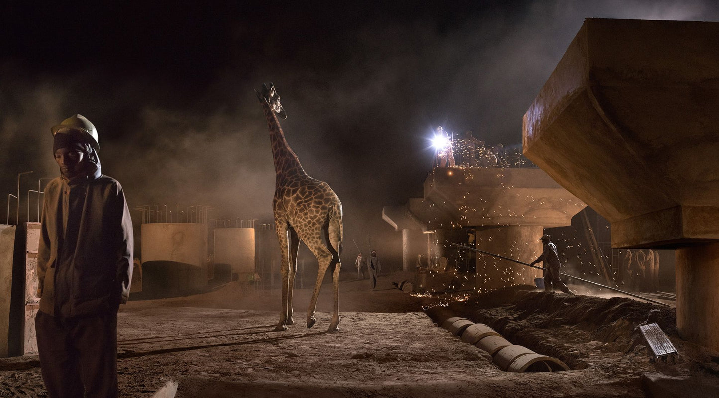 Nick Brandt: This Empty World