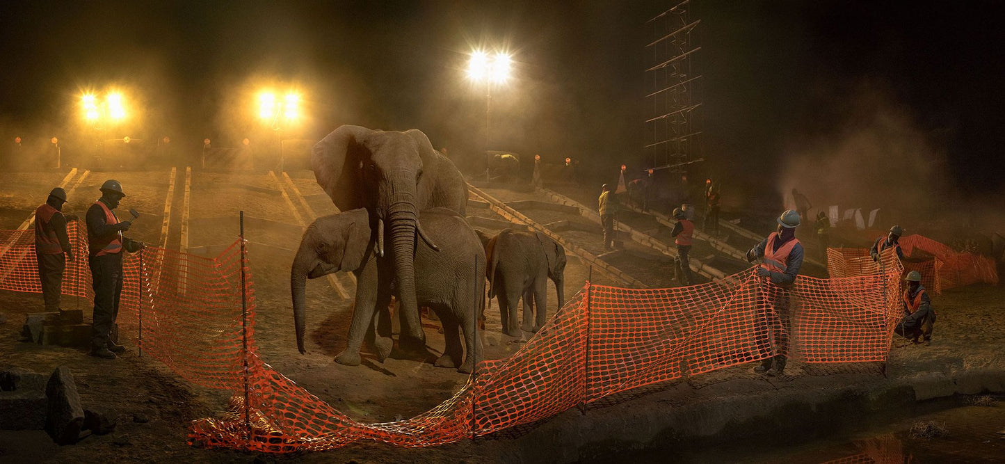 Nick Brandt: This Empty World