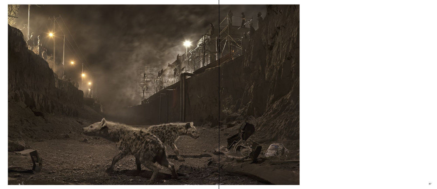 Nick Brandt: This Empty World
