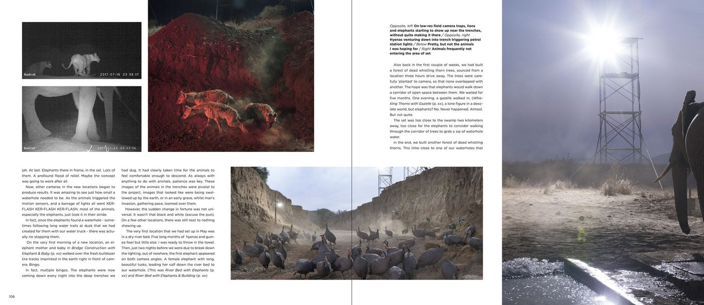 Nick Brandt: This Empty World