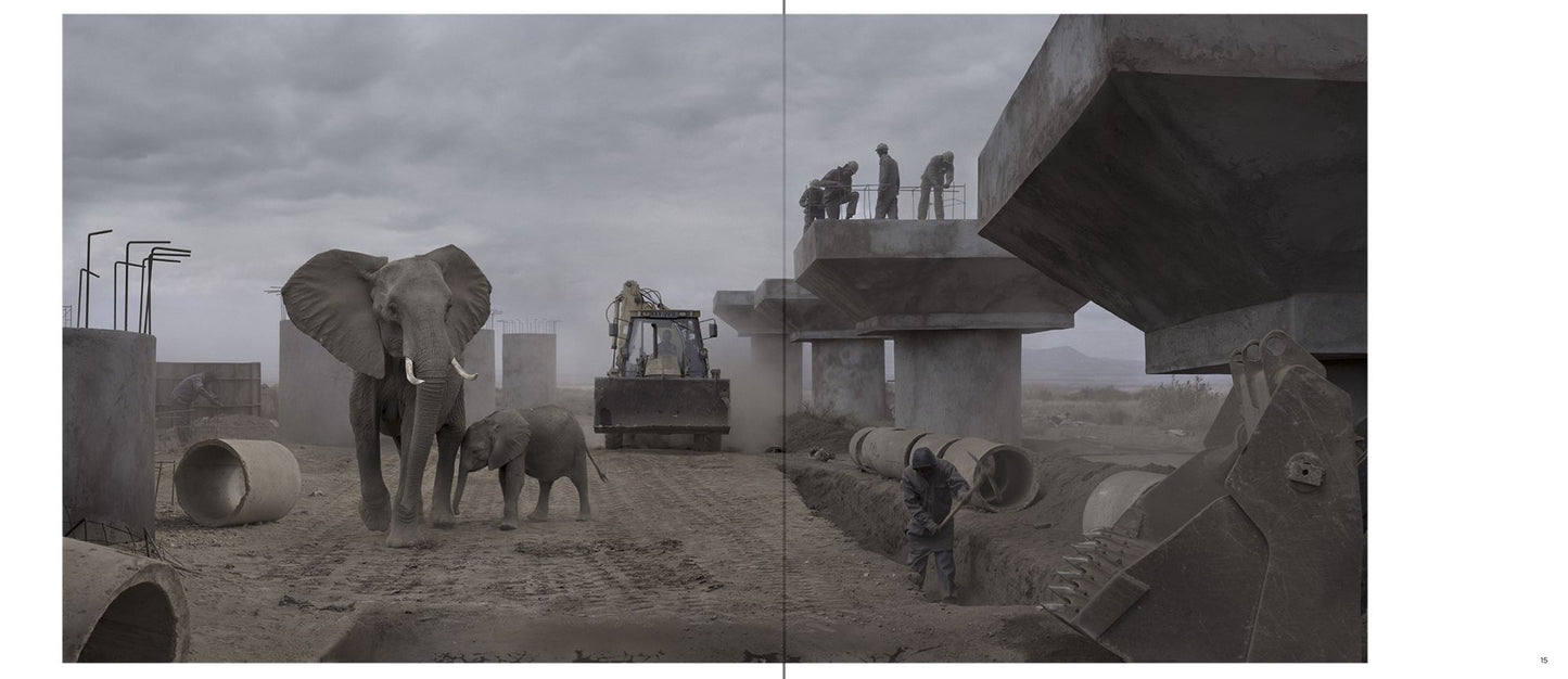 Nick Brandt: This Empty World