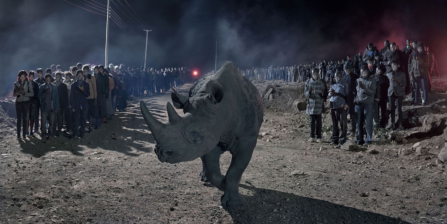 Nick Brandt: This Empty World