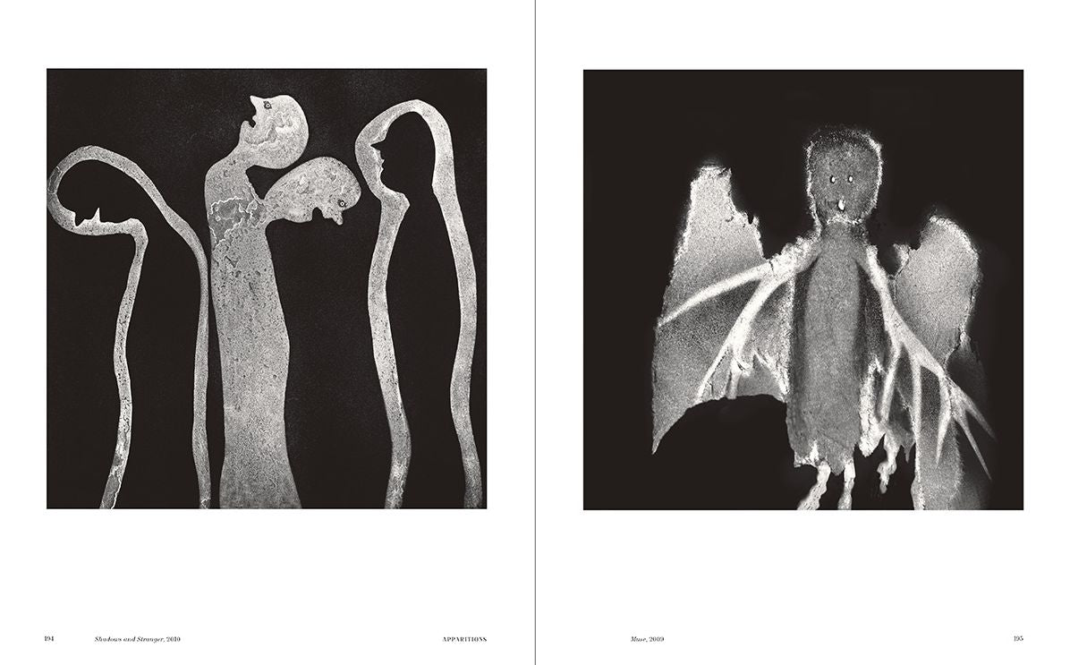The World According to Roger Ballen