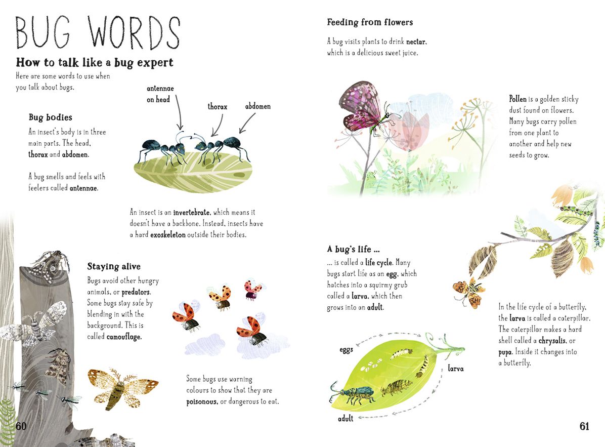Big Book of Bugs