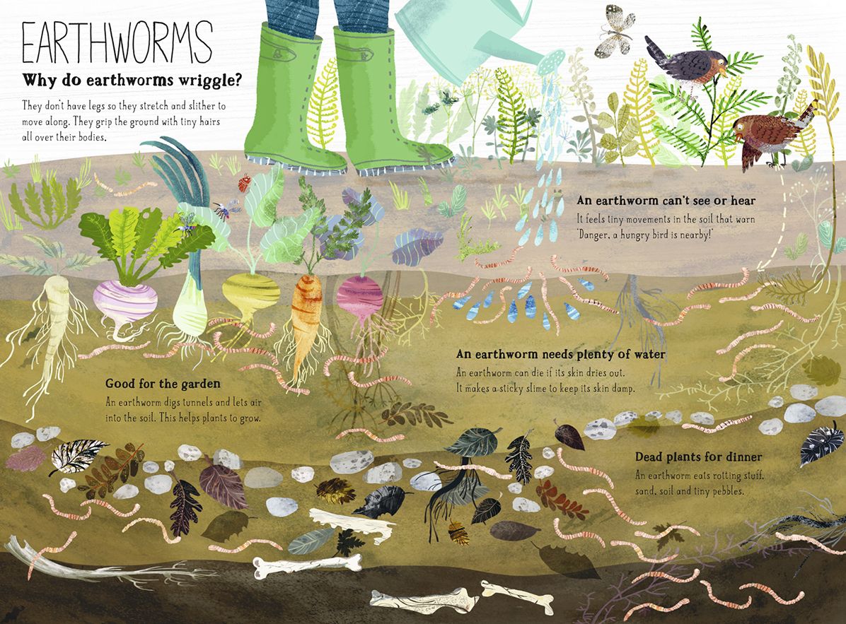 Big Book of Bugs