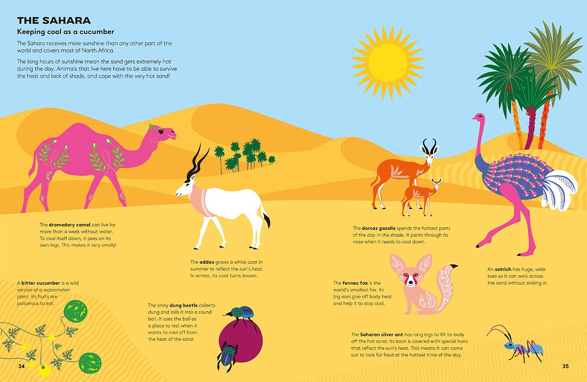Hoot and Howl Across the Desert: Life in the World's Driest Deserts