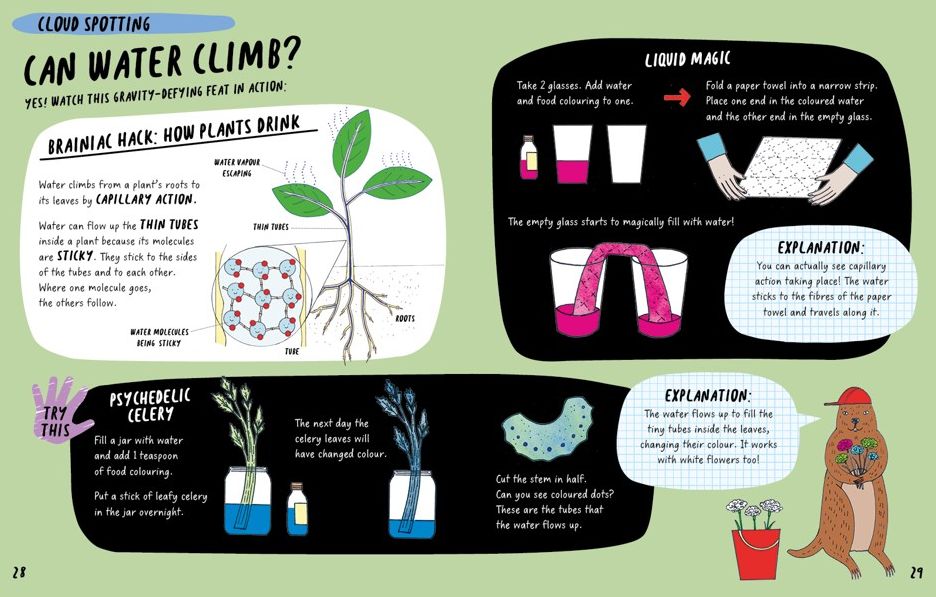 The Brainiac's Book of the Climate and Weather