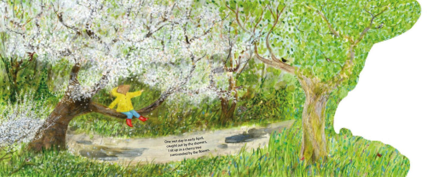 Mouse's Wood: A Year in Nature