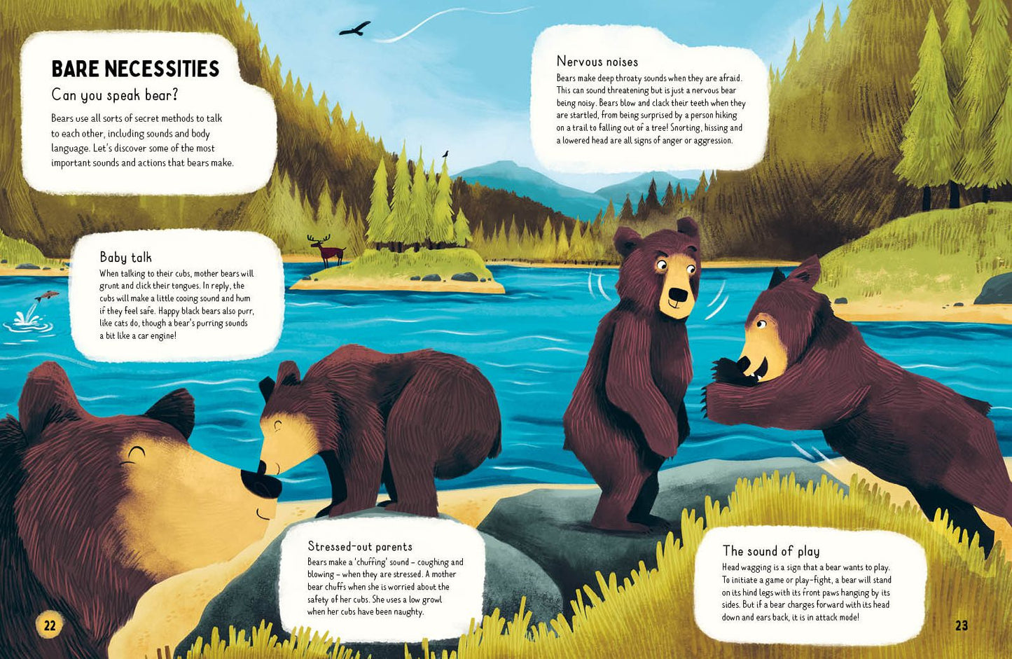 Do bears poop in the woods?