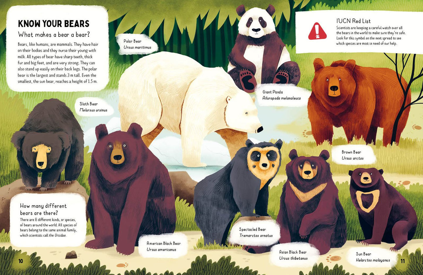 Do bears poop in the woods?