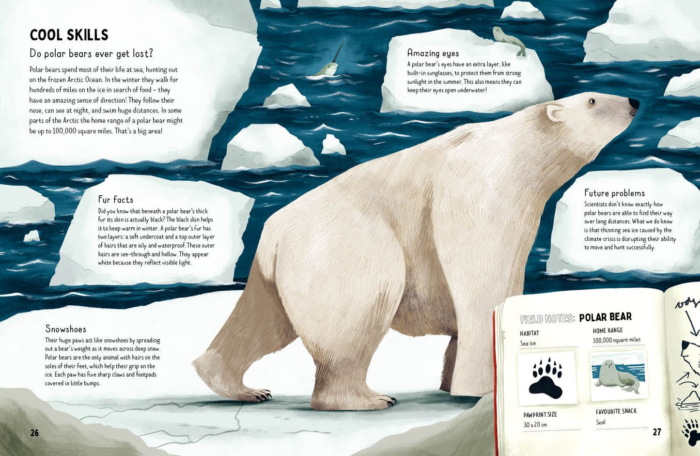 Do bears poop in the woods?