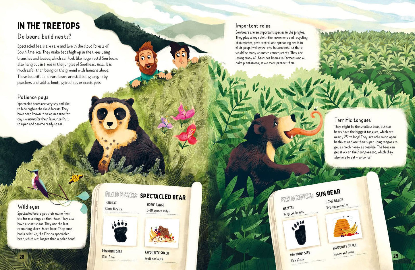Do bears poop in the woods?