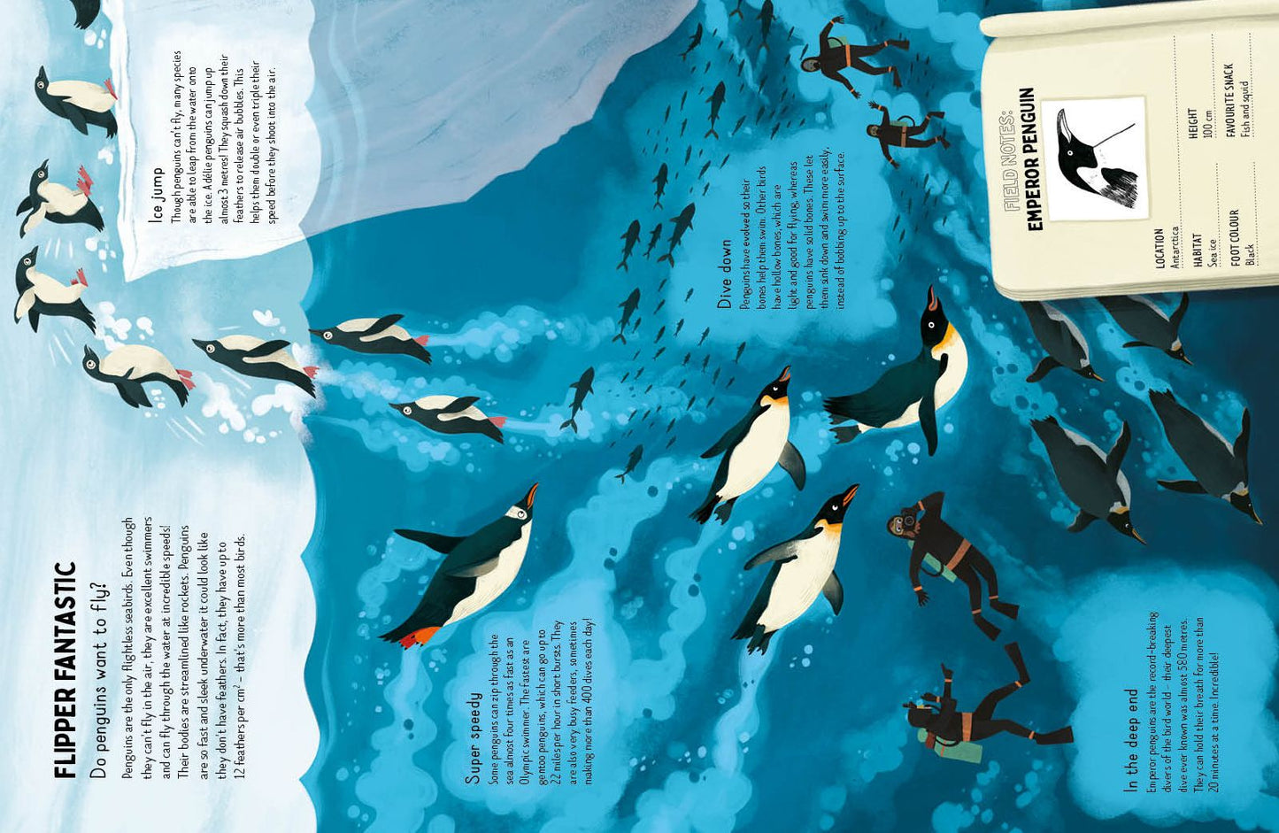 Do Penguins Like the Cold?